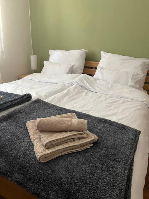 Priestranny 3 Izb. Apartman V Centre S Parkovanim. Банська Бистриця Екстер'єр фото