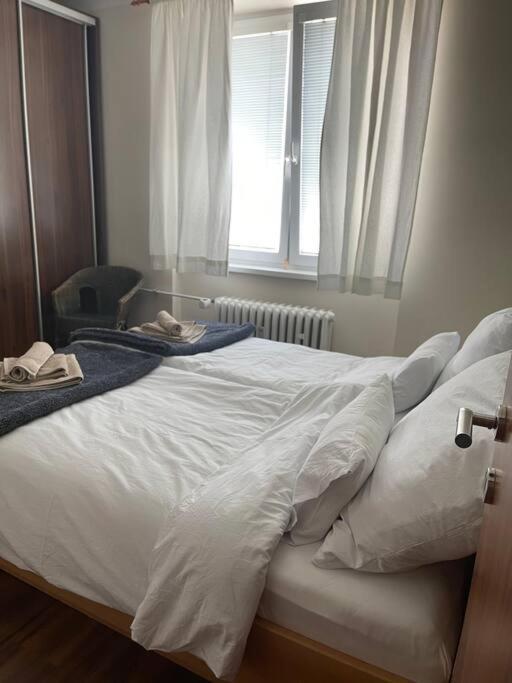 Priestranny 3 Izb. Apartman V Centre S Parkovanim. Банська Бистриця Екстер'єр фото
